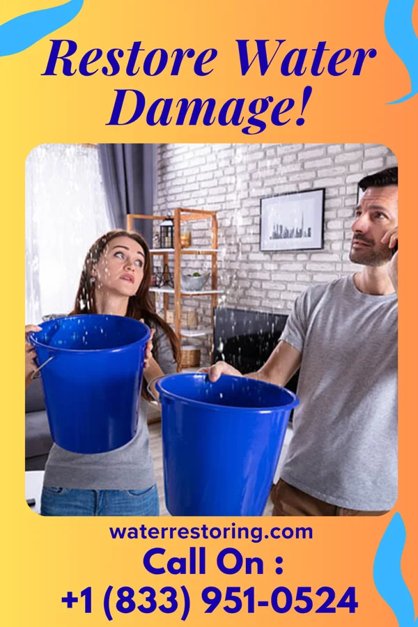 water restoration Pro Flood Recovery Solutions Perryman